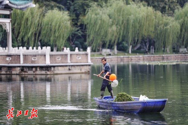 點(diǎn)擊查看高清原圖