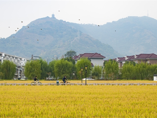 航民田園廣場(chǎng)